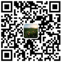 油濾芯廠(chǎng)家微信